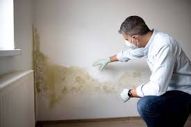 Best Industrial Mold Remediation  in Newark, CA